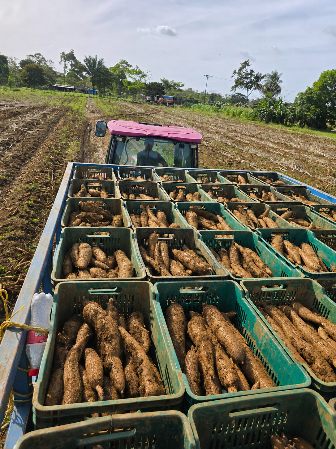 Transporte del Producto