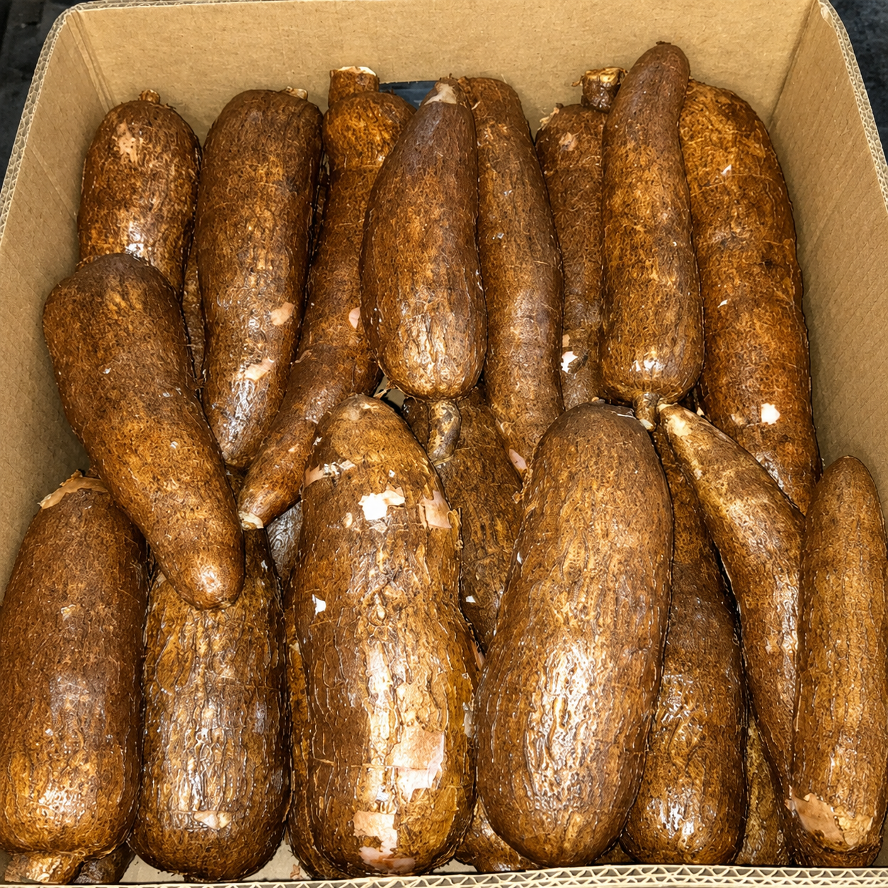 Yuca Valencia fresca de Costa Rica — fresh Valencia cassava