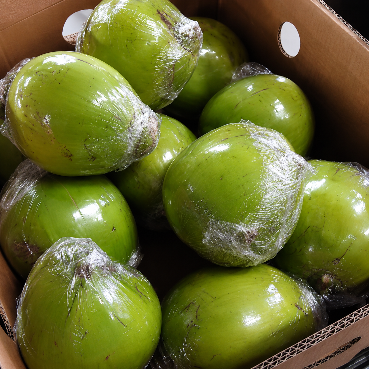 Coco verde fresco de Costa Rica — fresh green coconut